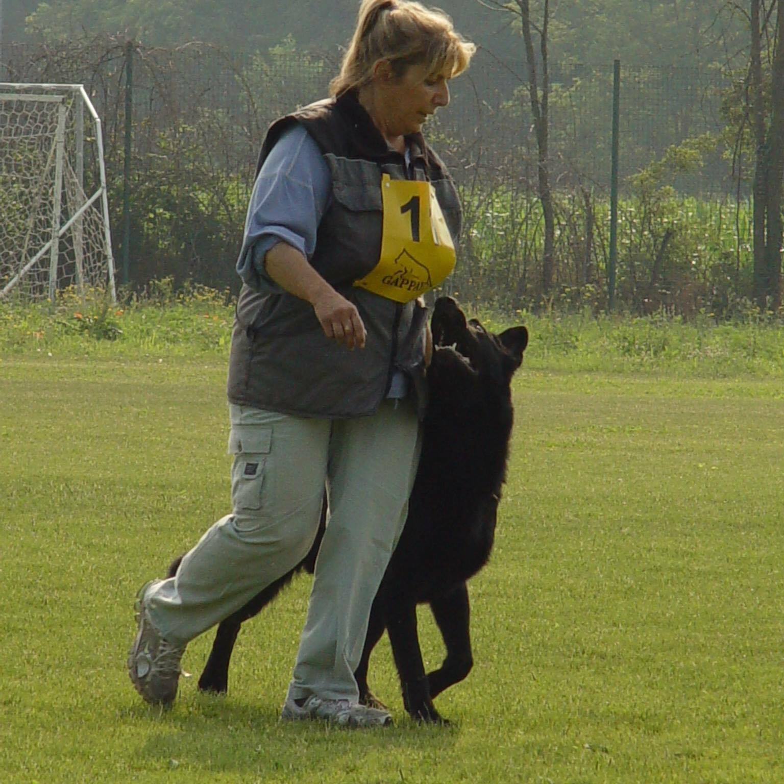 My Azazel - Allevamento Cane Lupo Cecoslovacco - Corso Allevatori