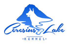 Ceresius Lake Kennel - Corso Allevatori - Australian Kelpie Svizzera