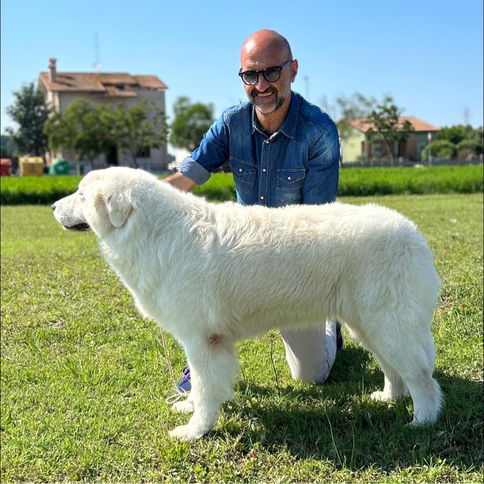 Antonio Grasso