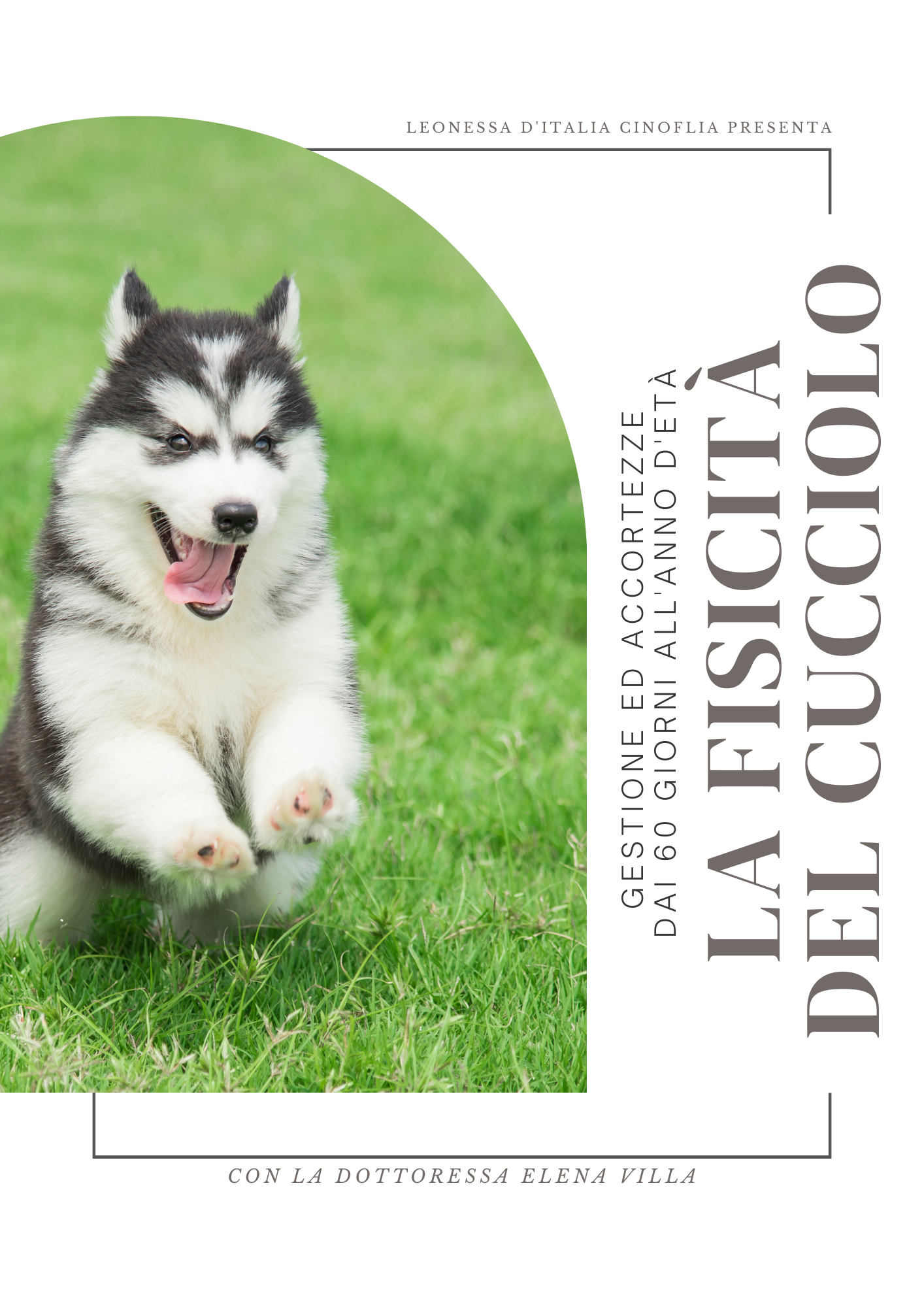 La fisicità del cucciolo: gestione ed accortezze dai 60 giorni all'anno di età