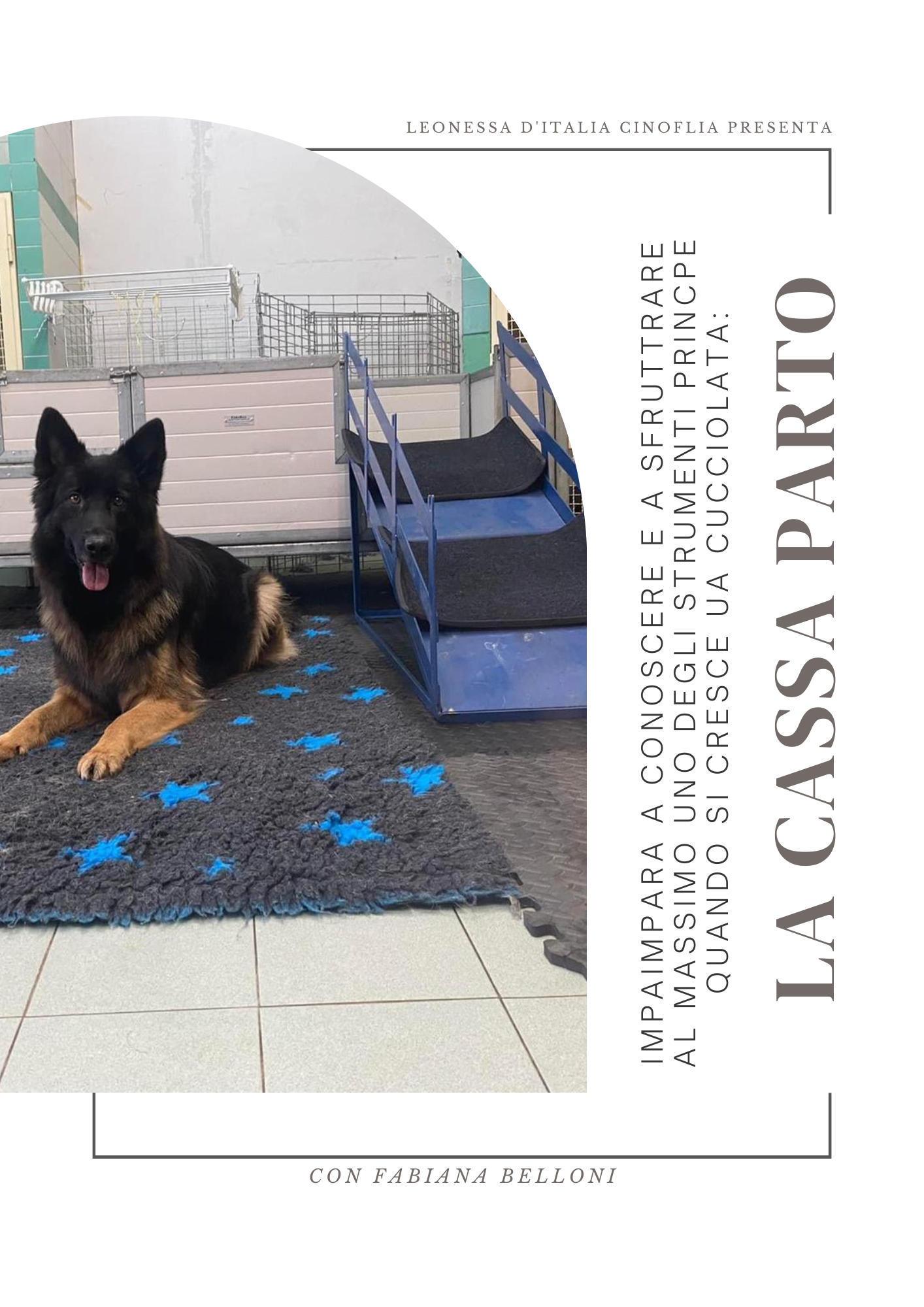 La cassa parto